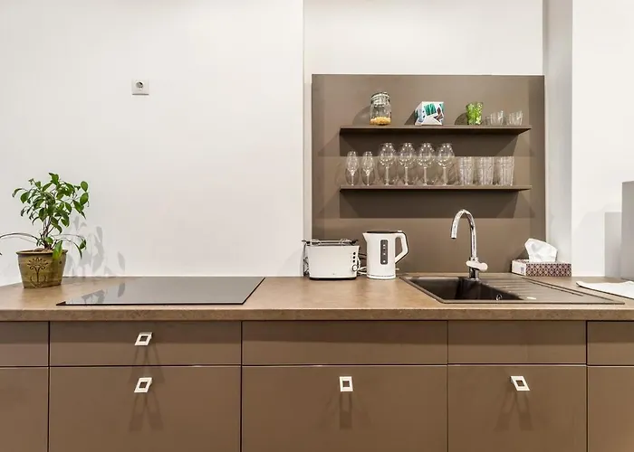 公寓 Budapest City Apartment 布达佩斯