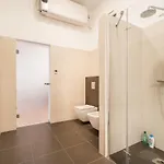 Budapest City Apartment